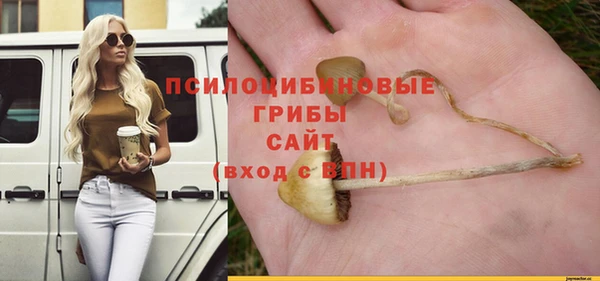 apvp Абдулино