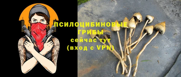 apvp Абдулино