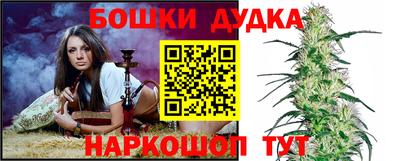 крисы Обь
