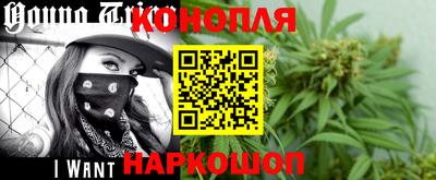 крисы Обь