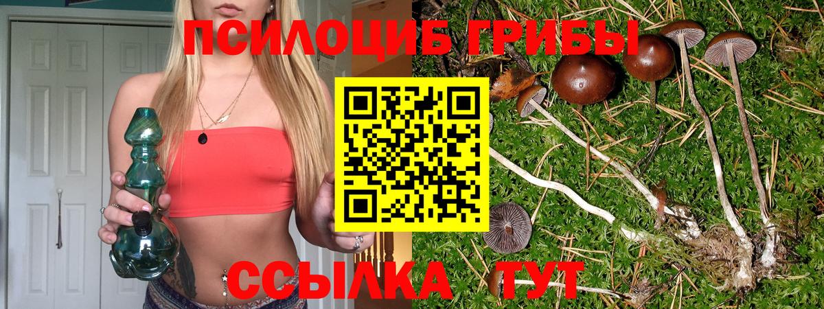 Галлюциногенные грибы Magic Shrooms Нижнекамск