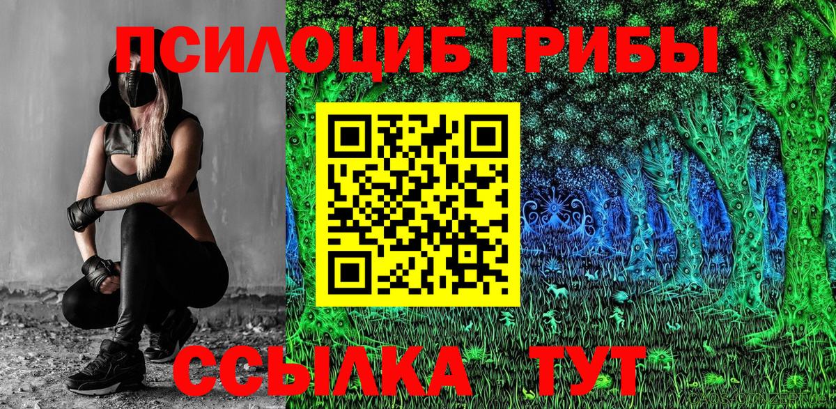 где продают наркотики  Псилоцибиновые грибы прущие грибы  Нижнекамск  Вход с VPN  Галлюциногенные грибы MAGIC MUSHROOMS 