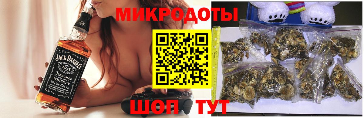 Псилоцибиновые грибы мицелий Нижнекамск