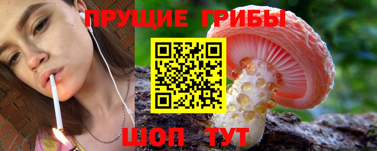 где купить наркоту  Вход с VPN  Нижнекамск  Псилоцибиновые грибы MAGIC MUSHROOMS  Псилоцибиновые грибы мухоморы 